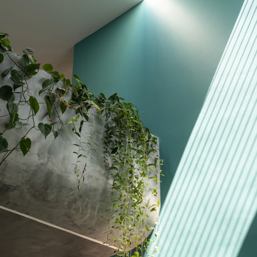 inara-house-clay-coop-architects_15