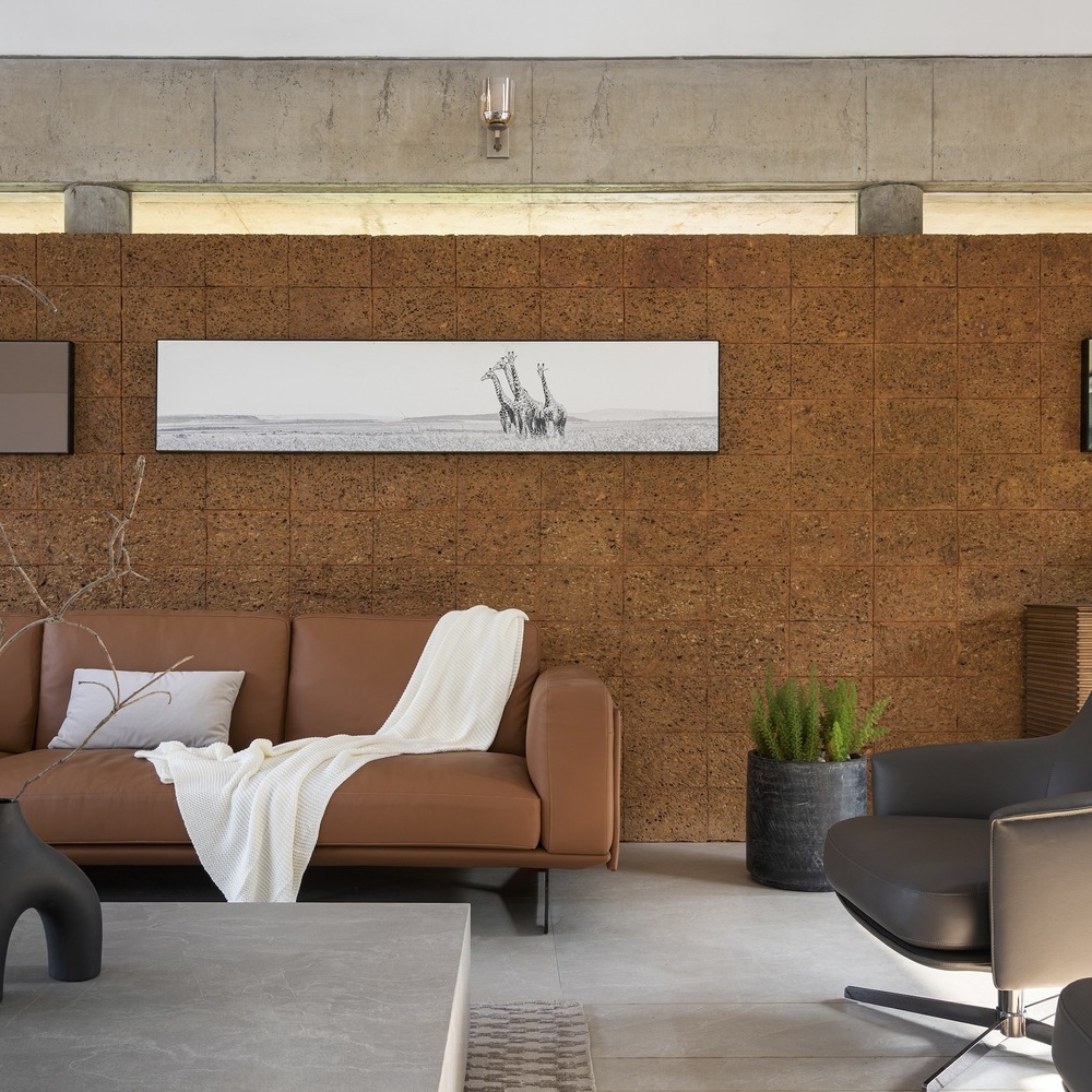 the-stoic-wall-residence-lijo-reny-architects_14